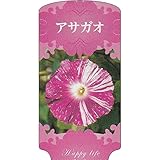 【1000枚】 AC 1型 アサガオ ASAGAO-010 ポリポット用 ラベル 名札 育苗 アンドウケミカル カ施 代不