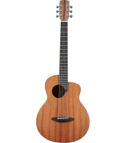 aNueNue Bird M1 aNN-M1 アコースティックギター Amazon | aNueNue M1 アコースティックギター Original Seiries