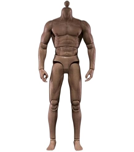 Amazon.co.jp: [TOYBARJAPAN] 1/6スケール フィギュア用 G002 アジアン