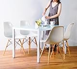 イームズDSWハーフマット4脚×8mm厚強化ガラスダイニングテーブルチェア5点セット120X75cmホワイト（Wh）4人用