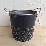 スケイルプランターM（直径17cm）CTC-462 ノーブランド品