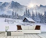 wall26 - 粘着壁紙 大型壁画シリーズ 100"x144" WMR-WP-X-D436-100x24x6