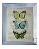 Kingwin Wf3085 Mirror Framed Picture Frame, 2 Inch Width for 16x20 Picture by Kingwin