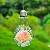 SHINA 2個セット 電球 ハンギング ガラス 花瓶 水栽培ポット 観葉植物 水耕栽培植物 ホームデコレーション