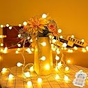 COOLBOTANG フェアリーライト 電球色 6M