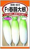 F1春蒔大根(耐病・総太)