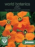 WB 英国ジョンソンズシード Johnsons Seeds world botanics collection Poppy Wind Poppy=Stylomecon heterophyllum ポピ