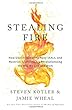Stealing Fire: How Silicon Valley, the Navy SEALs, and Maverick Scientists Are Revolutionizing the Way We Live and Work