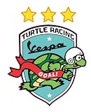 ベスパ(Vespa) ステッカーBEE, VESPA ベスパステッカー バイク 車 アウトドア用 防水加工ステッカー (V-Turtle)
