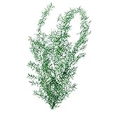 大地農園 プリザーブドフラワー アスパラ・スプリンゲリー(3本入り) フレッシュグリーン DO01080-731