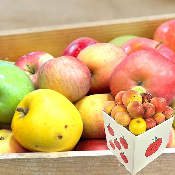 Amazon.co.jp: 紅まどんな 訳あり 紅マドンナ 愛果28号 ご家庭用 5