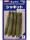 キュウリ　シャキット　タキイ交配タキイの四葉キュウリ種です　（グリーンデポ）
