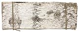 Natural Birch Bark。バンドルの6 19.5'' x 7'' rectangular birch bark