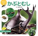 かぶとむし (はじめてのミニずかん 7)