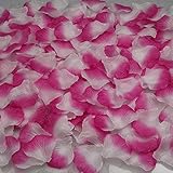 Lorny(TM) 1000個の人工シルクバラの花の花びら花びら葉ウェディング表デコレーションイベントパーティー紙吹雪用品