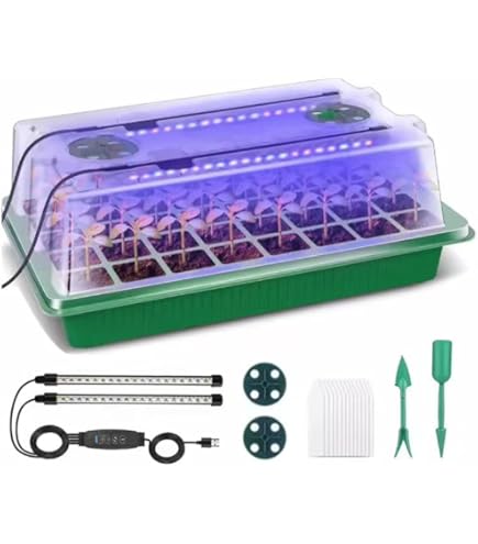 の*ー様 昭和精機　発芽育苗器　菜蒔器　メーカー終売品　新品未使用　展示品 Amazon | 昭和精機 家庭用発芽育苗器:菜蒔期(さいじき)サーモセット[加