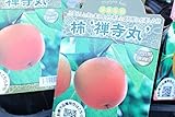 果樹苗　接木　柿　禅寺丸　1年生　【送料込価格】