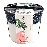 聖新陶芸 バーバーパパ 染付盆栽栽培セット 唐草