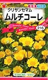 【種子】クリサンセマム ムルチコーレ トーホクのタネ