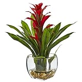Nearly Natural 6897-RD Bromeliad with Glass Vase Arrangement, P by Nearly Natural
