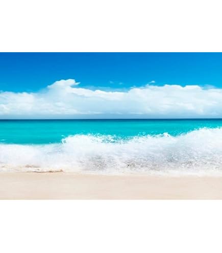 Amazon.co.jp: 美しいビーチ 海 波を割る海辺 風景 夕暮れ ヤシの絵 海