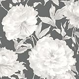 29069725 – rendez-vous Floral Noir Casadeco壁紙