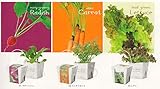 [植物 栽培 栽培セット ガーデン 手軽 癒し グリーン 野菜]育てるグリーン　ベジコンテナ　ミニキャロット