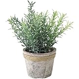 スパイス（SPICE） デコール イミテーション DECOR IMITATION ROSEMARY TADY6020