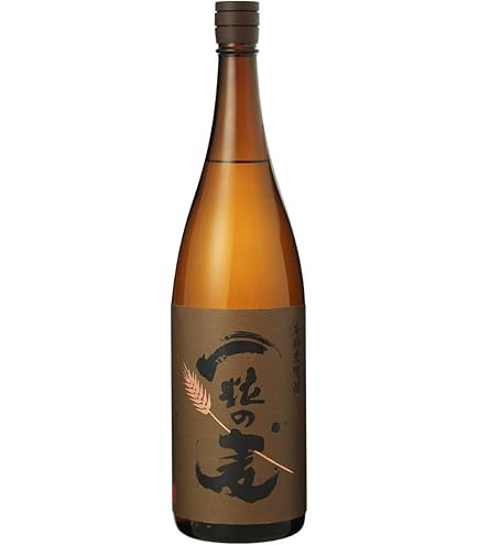 ぶんご太郎本格焼酎　無濾過麦焼酎　1800ml 麦焼酎 ぶんご太郎【25度】1800ml