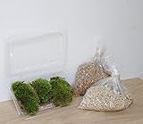 盆栽作りや植え替えにはこのセット　【植え込み用土・鉢底土・ヤマゴケセット】