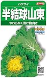 サカタのタネ 実咲野菜2673 半結球山東 ハクサイ 10袋セット