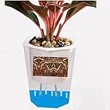 Liebeye 水植木鉢 自家用 透明 菱形 自己給水 植木鉢 美しい植物のポット ホーム オフィス ガーデン装飾 フェスティバルギフト 透明RLU09ロンバス