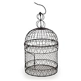 The Lucky Clover Trading Decorative Round Wire Birdcage Basket [並行輸入品]