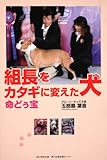 組長をカタギに変えた犬 命どぅ宝