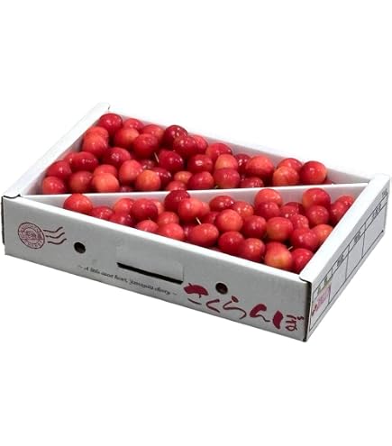 Amazon.co.jp: 山形県産 さくらんぼ 佐藤錦 訳あり 1kg : 食品・飲料・お酒