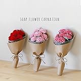 【Blooming＆me】フラワーデザイナーおすすめ！「母の日特集」枯れない花 カーネーション フラワーソープの花束 フレグランス ブーケ【選べるカラー全3色】 (レッド)