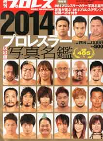 WEEKLY PRO-WRESTLING Special Edition 