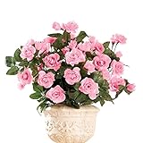 人工花柄ローズBushes – 3のセット、メンテナンスフリー ピンク 97587 PINK