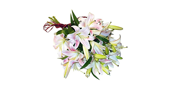 Amazon ピンクリリーの花束 生花 フラワーアレンジメント ブーケ プレゼント お祝い 誕生日 結婚式 お供え花 S フラワーアレンジメント オンライン通販