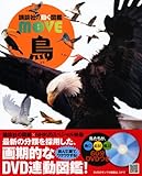 Image de DVD付 鳥 (講談社の動く図鑑MOVE)