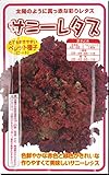 レタス種子・リーフサニーレタス（100粒）
