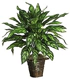 Nearly Natural 6615 Silver King with Basket Decorative Silk Plant, Green by Nearly Natural [並行輸入品]