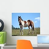 Paint Horse Wall Mural by Wallmonkeys Peel and Stick Graphic (18 in W x 15 in H) WM139991 [並行輸入品]