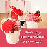 プリザーブドフラワーギフト [母の日カーネーションアレンジ] -全2色-ケース付 (ベビーピンク)
