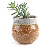 T4U 7CM 陶器鉢 サマートリオ NO.2 多肉植物 サボテン鉢 フラワーポット プランター容器 黄
