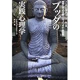 ブッダの実践心理学―アビダンマ講義シリーズ〈第8巻〉瞑想と悟りの分析2(ヴィパッサナー瞑想編)
