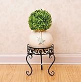 メタルフラワースタンド屋内・屋外植物棚バルコニーリビングルームフラワーポットディスプレイスタンド ( 色 : ブラック , サイズ さいず : 20*20CM )