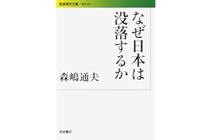 なぜ日本は没落するか (岩波現代文庫)