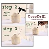 Merssavo ステンレススチールココナッツオープナーカッターオープンホールツール安全簡単フレッシュドリンク