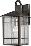 Forte Lighting 1062-01-14 Exterior Wall Light with Clear Seeded Glass Shades, Royal Bronze [並行輸入品]